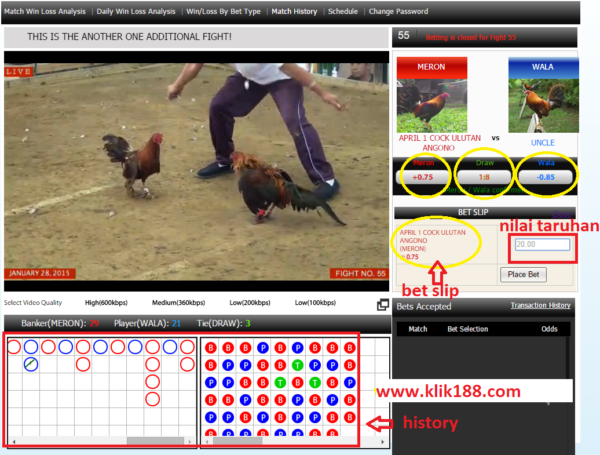 CARA DAFTAR DAN TARUHAN SABUNG AYAM